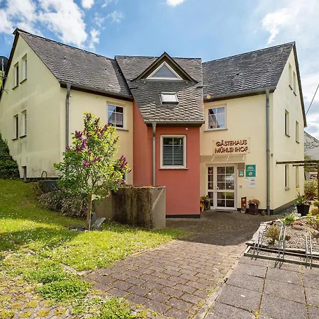 Apartment Gaestehaus Muehlenhof - Riesling