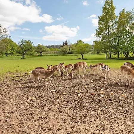 Mühlenhof - Riesling Maring-Noviand