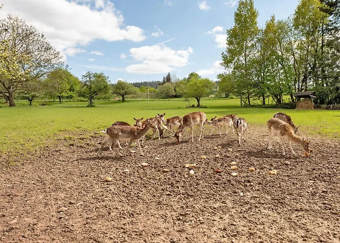 Gaestehaus Muehlenhof - Riesling Maring-Noviand