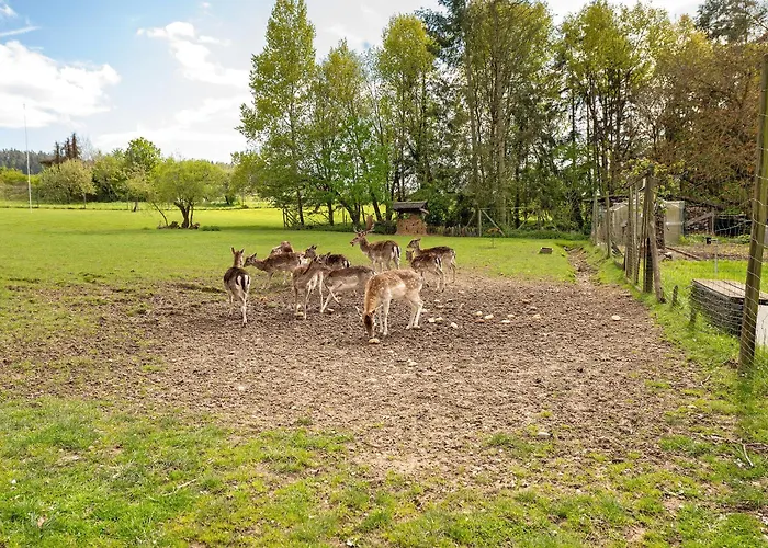 Gaestehaus Muehlenhof - Riesling